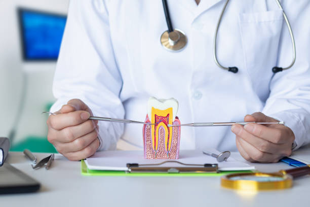 Best Urgent Dental Care for Toothache in High Point, NC